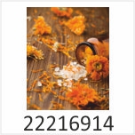 Salz Blüten Motivgalerie Infrarotheizungen nuck 22216914