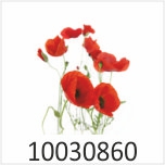 Mohnblumen Bild 1 Motivgalerie Infrarotheizungen nuck 10030860