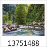 Waldbach Motivgalerie Infrarotheizungen nuck 13751488