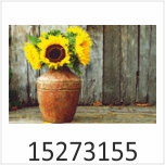 Sonnenblumen Motivgalerie Infrarotheizungen nuck 15273155