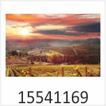 Feld mit Sonne Motivgalerie Infrarotheizungen nuck 15541169