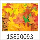 Herbstlaub Motivgalerie Infrarotheizungen nuck 15820093