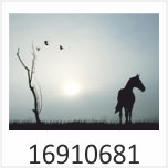 Pferd im Nebel Infrarotheizung nuck 16910681