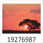 Sonnenaufgang Motivgalerie Infrarotheizungen nuck 19276987