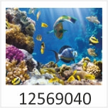 Unterwasser Meer Motivgalerie Infrarotheizungen nuck 12569040