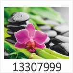 Orchidee Motivgalerie Infrarotheizungen nuck 13307999