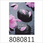 Zen Blütenblätter Motivgalerie Infrarotheizungen nuck 8080811